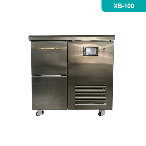 寧波新芝XB-100全自動雪花制冰機