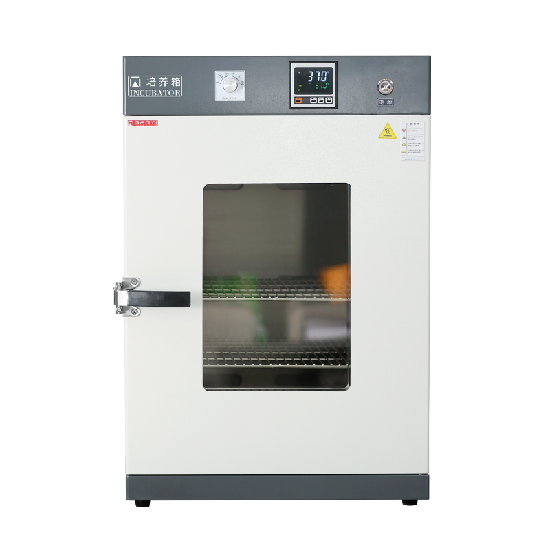 上海甘易DNP-9162電熱恒溫培養箱
